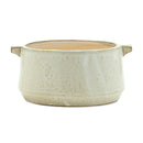 Melrose Rustic Terra Cotta Bowl Planter 9.5"L Planter