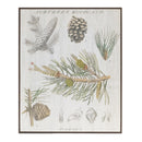 Melrose Framed Pine Encyclopedia Print 15.5"H