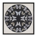 Melrose Framed Butterfly Print 25"SQ Wall Decor, Modern, Plastic