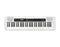 Casio Casiotone 61-Key Portable Keyboard - White - CT-S200WE