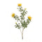 Melrose Yellow Flocked Protea Spray (Set of 6)