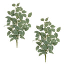 Melrose Variegated Foliage Spray (Set of 2)