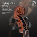 Stentor, 4-String Violin, Brown,Red (1500 4/4)