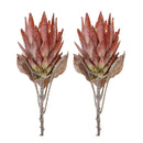 Melrose Orange Protea Flower Stem (Set of 2)