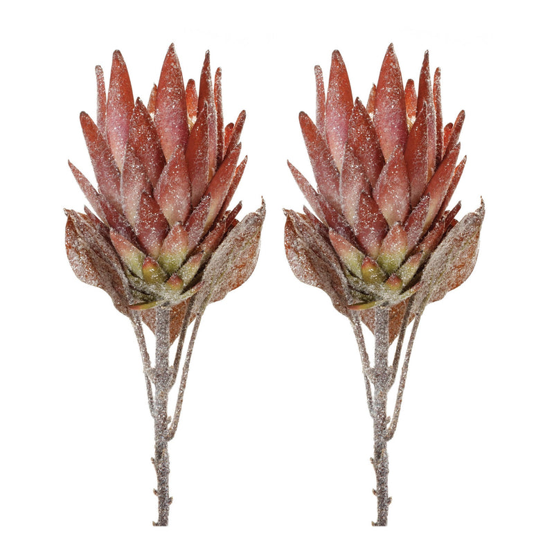 Melrose Orange Protea Flower Stem (Set of 2)