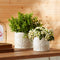 Melrose Porcelain Floral Patterned Planter Set of 2 Planter, Porcelain