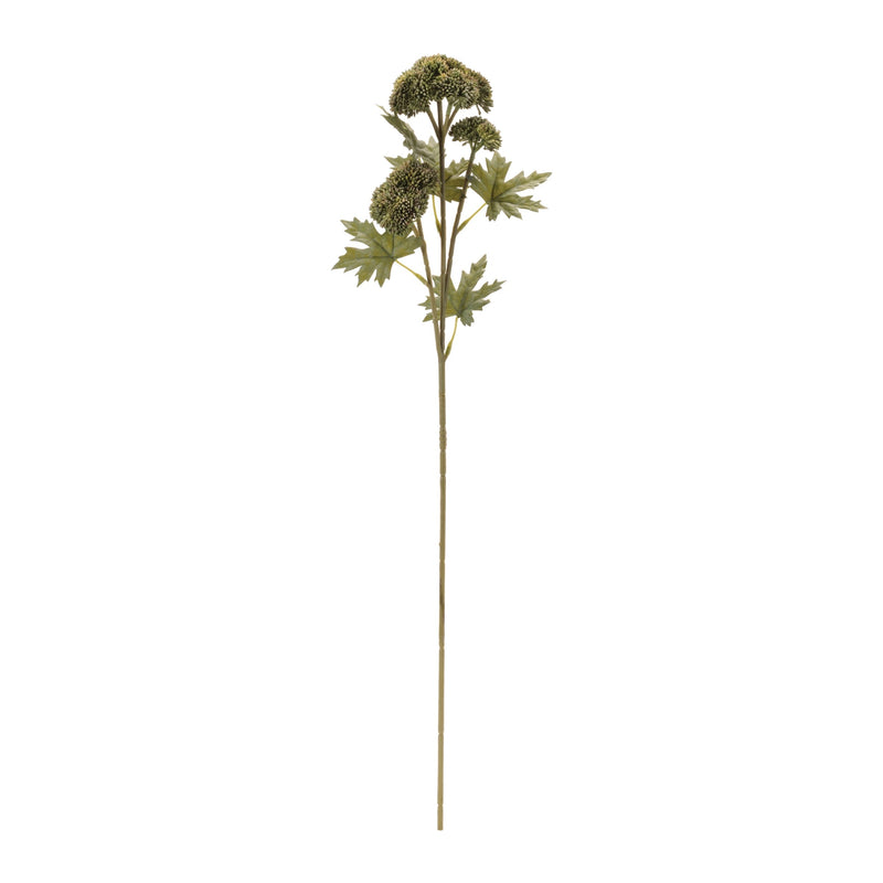 Melrose Sedum Succulent Spray (Set of 6)