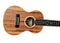 Twisted Wood AR‑800C Aurora Concert Ukulele Laminate Koa w/ Gig Bag