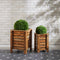 Melrose Boxwood Foliage Orb 13"D