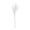 Melrose Pine Branch (Set of 12)