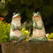 Melrose Ceramic Garden Frog Statue (Set of 2)
