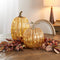 Melrose LED Mercury Glass Pumpkin Decor (Set of 2) Multicolor Farmhouse Glass LE