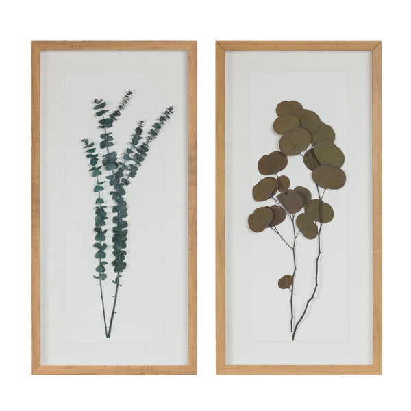 Melrose Dried Eucalyptus Frame Wall Decor, Modern, Rustic, Wood