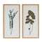 Melrose Dried Eucalyptus Frame Wall Decor, Modern, Rustic, Wood