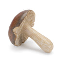 Melrose Stone Mushroom Shelf Sitter (Set of 12) Multicolor Decor