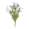 Melrose Mixed Daisy Bush (Set of 6)