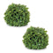 Melrose Boxwood Foliage Orb (Set of 2)