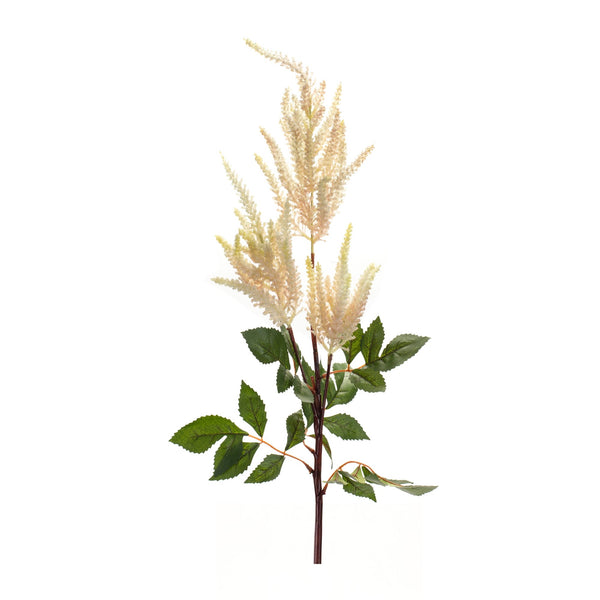 Melrose Astilbe Spray (Set of 4)