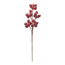 Melrose Beaded Berry Spray (Set of 6)