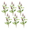 Melrose Buddleia Floral Stem (Set of 6)