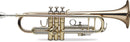 LM-IMAGE-21071178-