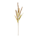 Melrose Seeded Plume Spray (Set of 12)