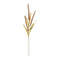 Melrose Seeded Plume Spray (Set of 12)