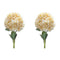 Melrose Hydrangea Bush (Set of 2)