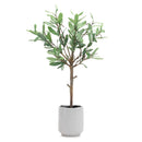 Melrose Potted Olive Leaf Topiary 21.5"H