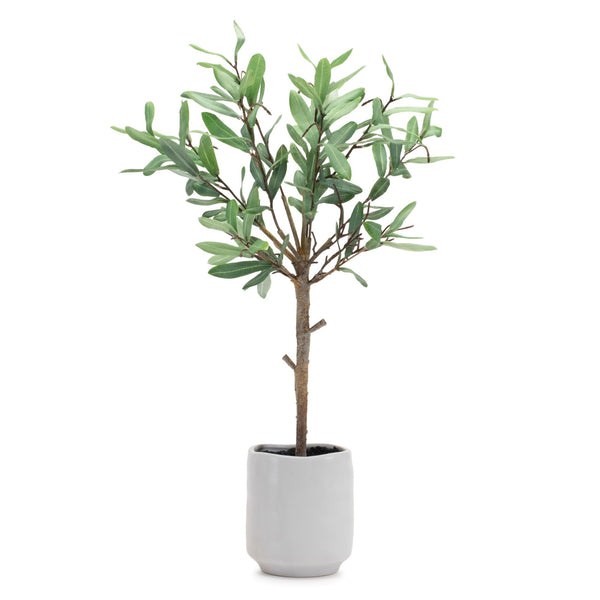 Melrose Potted Olive Leaf Topiary 21.5"H