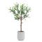 Melrose Potted Olive Leaf Topiary 21.5"H