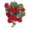 Melrose Hanging Geranium Floral Bush (Set of 2)