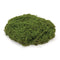Melrose Faux Moss Pad (Set of 3)