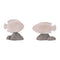 Melrose Fish on Rock Decor (Set of 4)