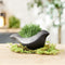 Melrose Set of 2 Black Ceramic Bird Containers