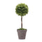 Melrose Potted Topiary Tree 17.5"H