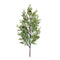 Melrose Pine Spray (Set of 2)