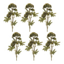 Melrose Sedum Succulent Spray (Set of 6)