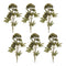 Melrose Sedum Succulent Spray (Set of 6)