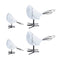 Melrose Marble Print Bird Figurine (Set of 4)