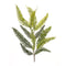 Melrose Varigated Fern Foliage Spray (Set of 6)