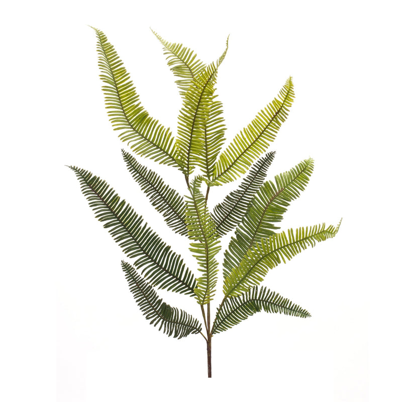 Melrose Varigated Fern Foliage Spray (Set of 6)