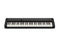 Casio CT-S1BK Casiotone Series 61-Key Touch Response Digital Keyboard Bl CT-S1BK