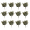 Melrose Cedar and Pincone Bush (Set of 12)