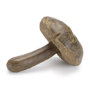 Melrose Stone Mushroom Shelf Sitter (Set of 12) Multicolor Decor