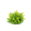 Melrose Varigated Mini Leaf Half Orb (Set of 6)