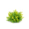 Melrose Varigated Mini Leaf Half Orb (Set of 6)