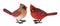 Melrose Cardinal Bird Figurine (Set of 4)