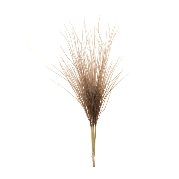 Melrose Grass Plume Bundle (Set of 2)