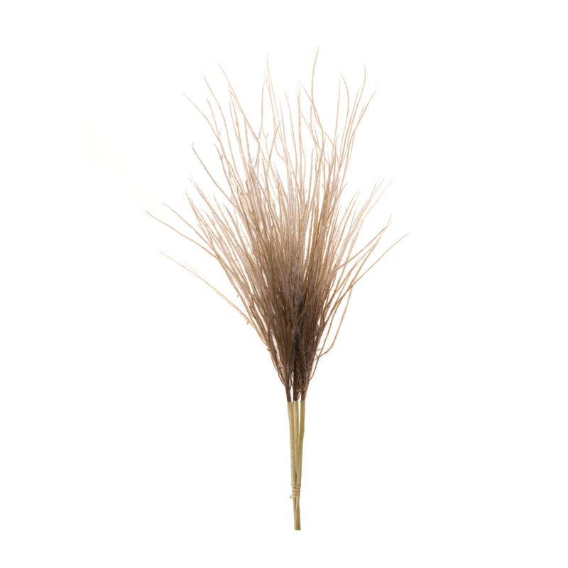 Melrose Grass Plume Bundle (Set of 2)